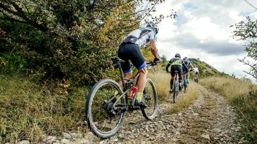 Mountainbike (MTB)