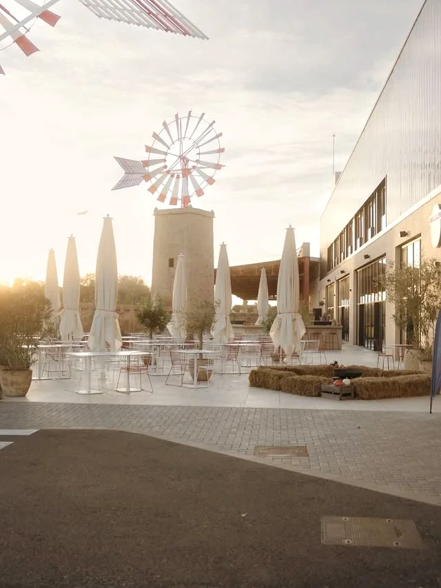 Terrasse der Motorworld Mallorca zur goldenen Stunde mit der historischen Windmühle